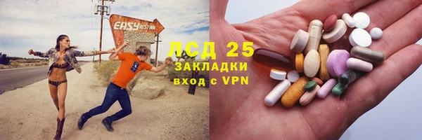 стафф Аркадак