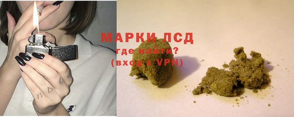 стафф Аркадак