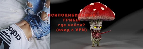 спиды Арсеньев