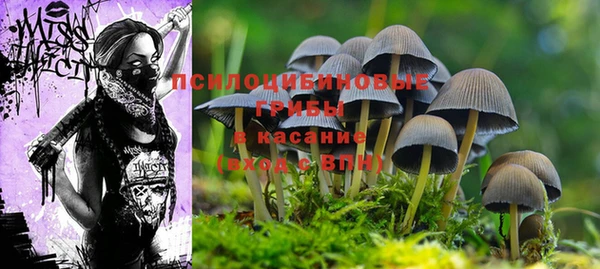 дурь Армянск