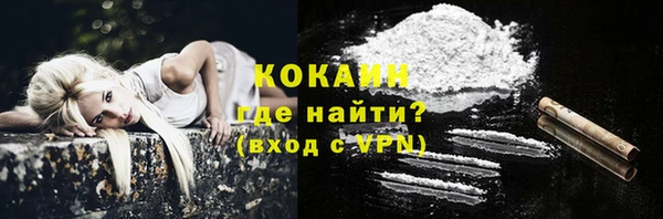 стафф Аркадак