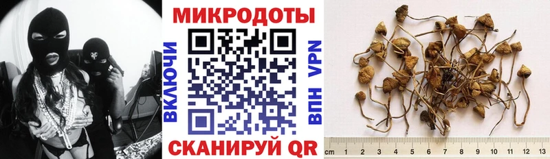 Псилоцибиновые грибы прущие грибы  Починок 
